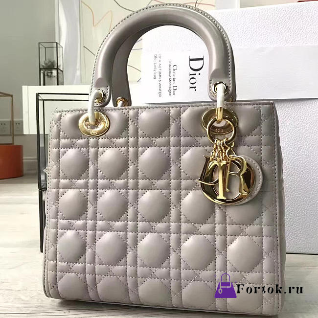 Lady Dior 1569 - 1