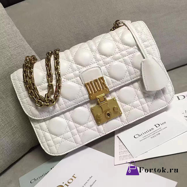 DIORADDICT 1676  - 1