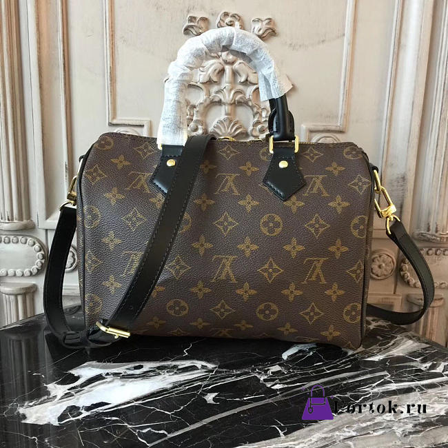 Louis Vuitton SPEEDY 25 Monogram - 1