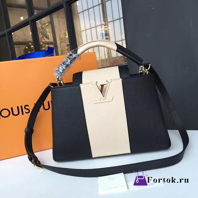 Louis Vuitton CAPUCINES PM 3455 - 1