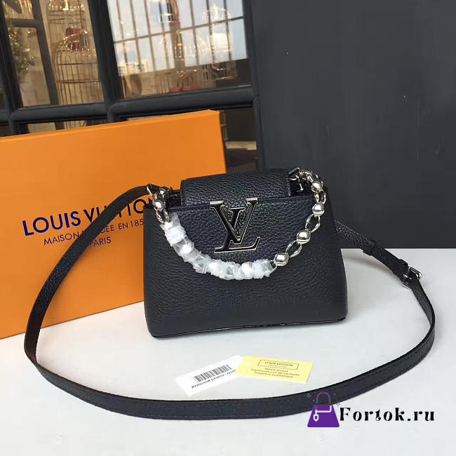 Louis Vuitton CAPUCINES MINI 3456 - 1