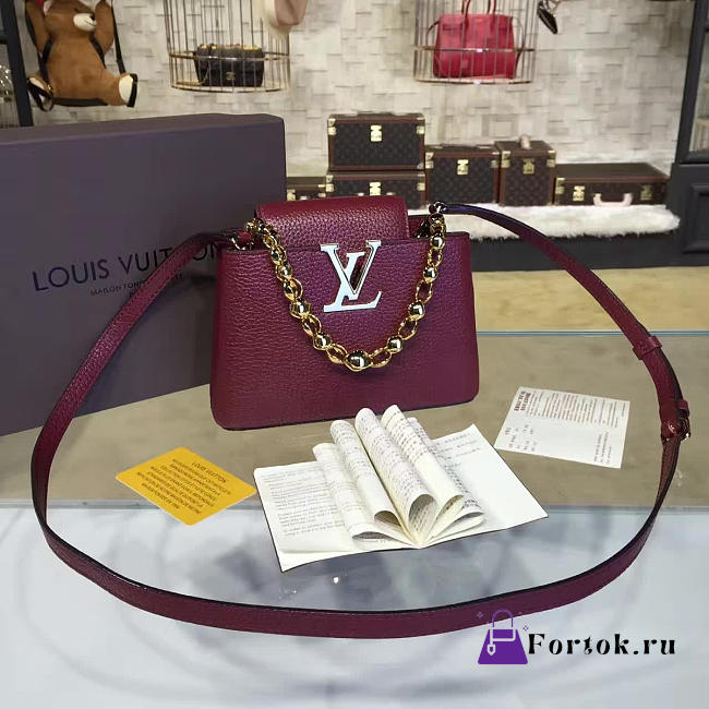 Louis Vuitton CAPUCINES MINI 3459 - 1