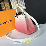 Louis Vuitton CAPUCINES BB 3460 - 5