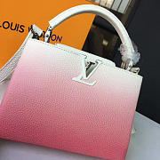 Louis Vuitton CAPUCINES BB 3460 - 3