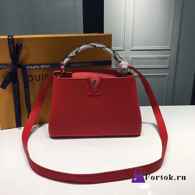 LOUIS VUITTON CAPUCINES BB 3679 - 1