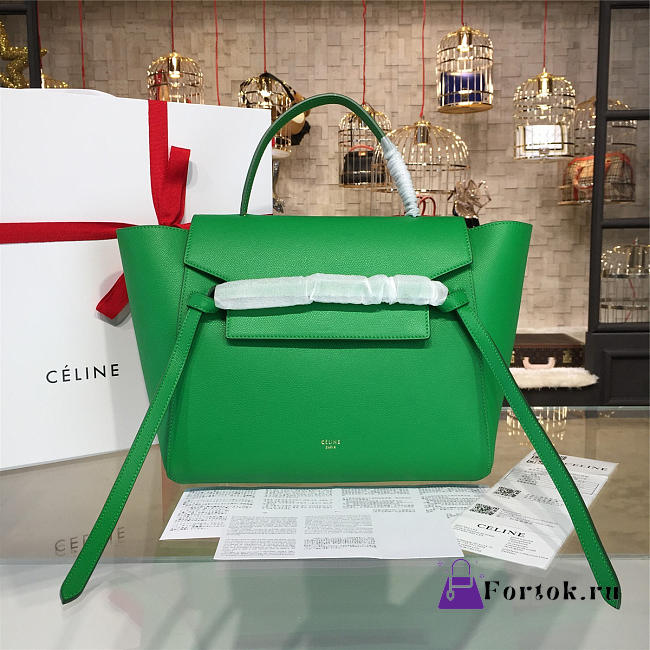 Celine Leather Belt Bag Z1208 28cm  - 1