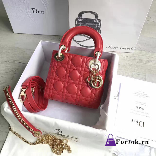 Lady Dior mini 1546 - 1