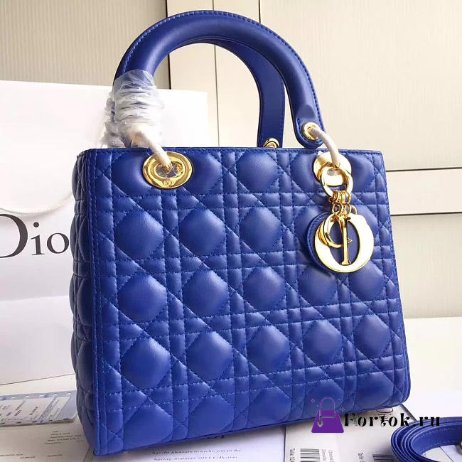 Lady Dior 1573  - 1