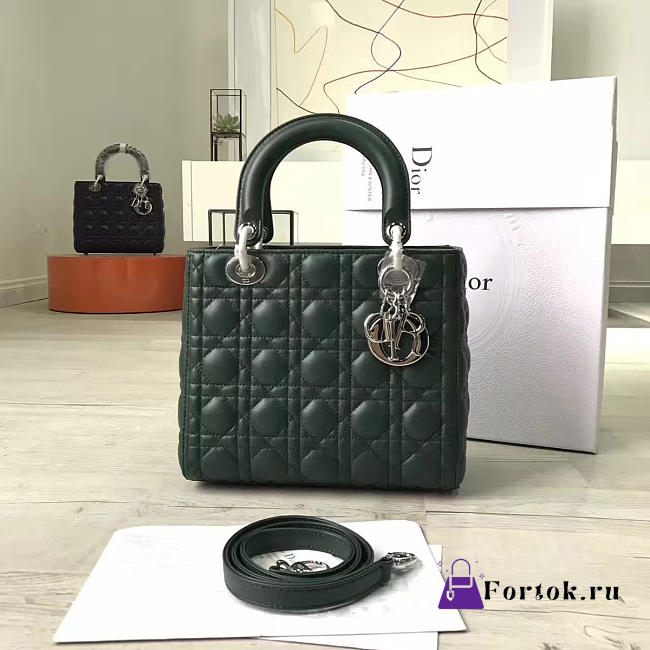 Lady Dior 1574  - 1