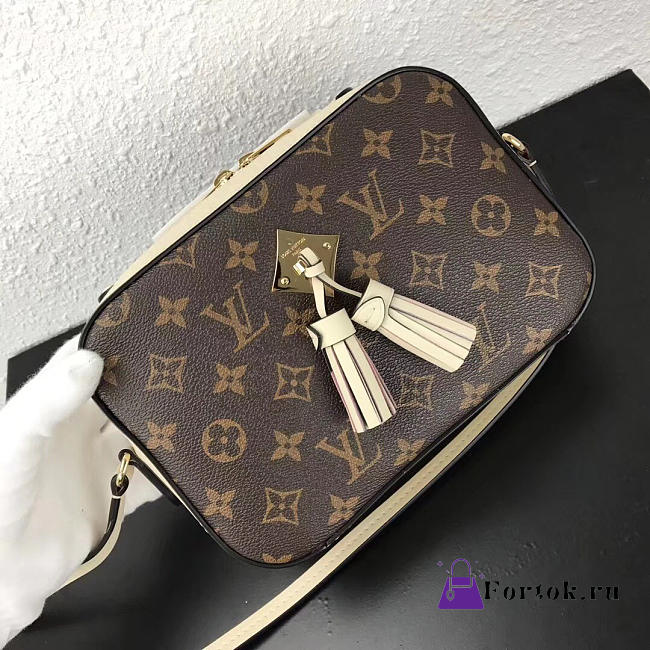 Louis Vuitton SAINTONGE M43559 - 1