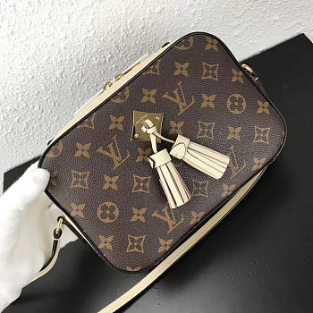 Louis Vuitton SAINTONGE M43559