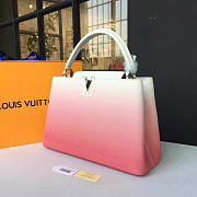 Louis Vuitton CAPUCINES MM 3467 - 5