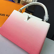 Louis Vuitton CAPUCINES MM 3467 - 3