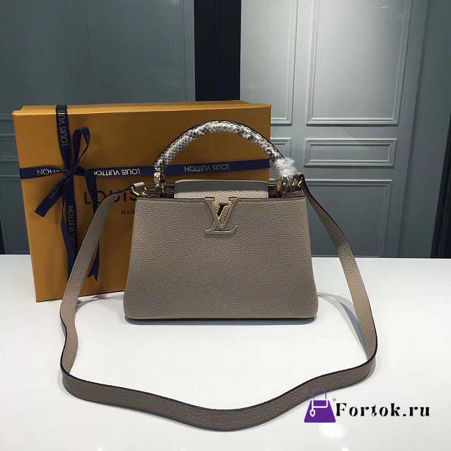 LOUIS VUITTON CAPUCINES BB Galet 3673  - 1