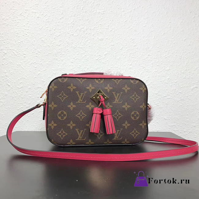 Louis Vuitton Monogram SAINTONGE Freesia M43557 - 1