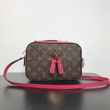 Louis Vuitton Monogram SAINTONGE Freesia M43557