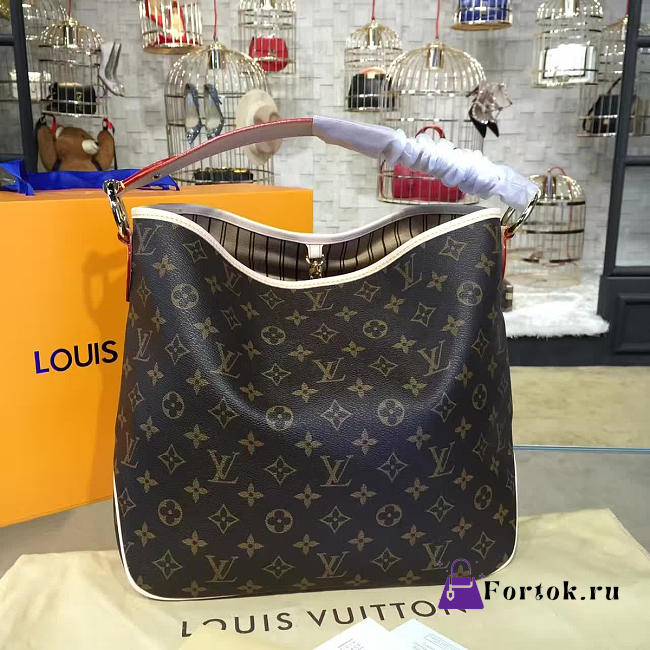 Louis Vuitton DELIGHTFUL Monogram 42cm - 1