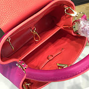 LOUIS VUITTON CAPUCINES BB Freesia 3445 - 2