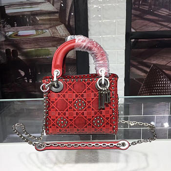 Lady Dior 1572 