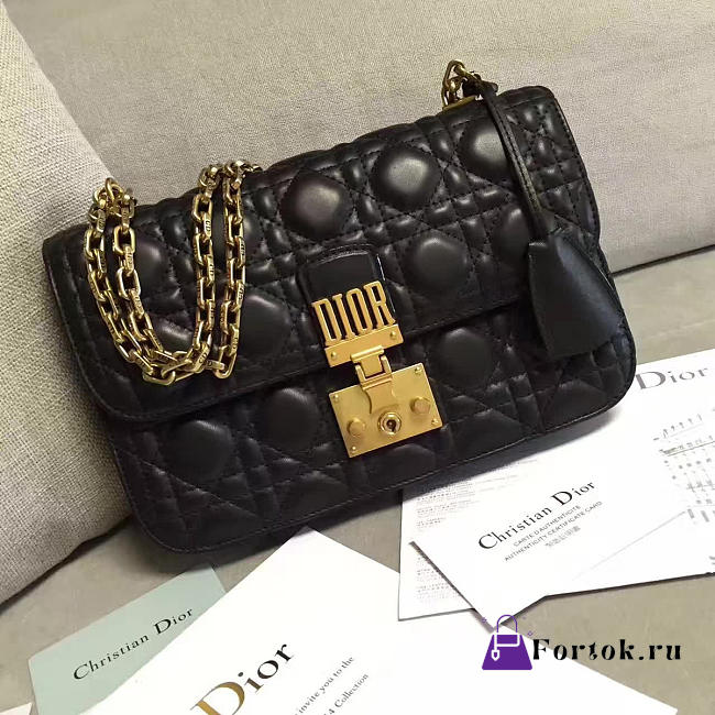 DIORADDICT 1672  - 1