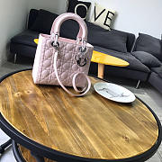 Lady Dior 1801  - 1