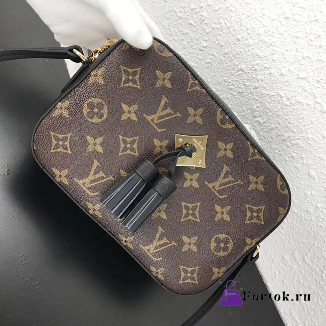 Louis Vuitton Monogram SAINTONGE Black M43555 - 1
