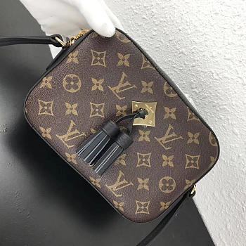 Louis Vuitton Monogram SAINTONGE Black M43555