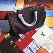 LOUIS VUITTON SPEEDY 30 N41364 3119 - 6