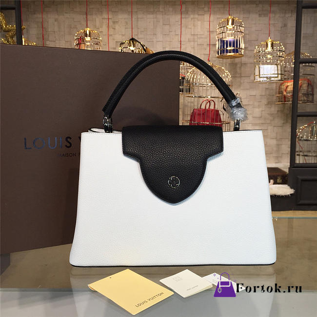 LOUIS VUITTON CAPUCINES LEATHER 3469 - 1