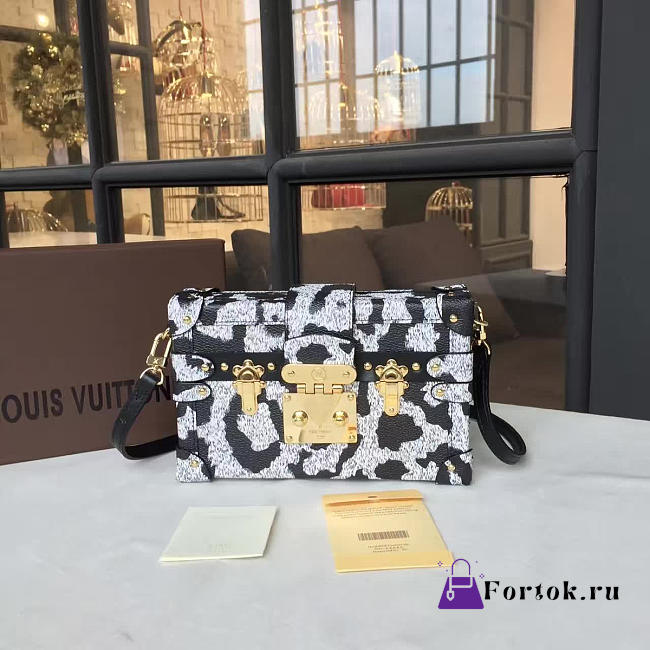 Louis Vuitton PETITE MALLE Box Bag 3574 18cm - 1