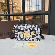 Louis Vuitton PETITE MALLE Box Bag 3574 18cm - 1