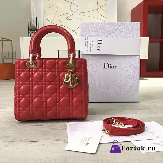 Lady Dior 1584  - 1