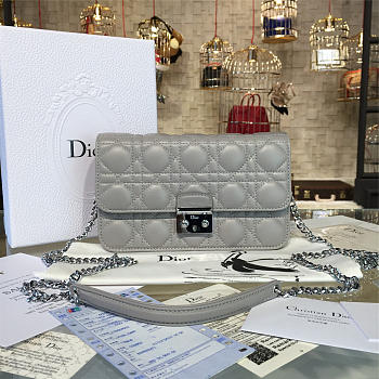 Dior Miss WOC Gray 1681 21cm