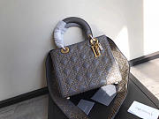 Lady Dior 1768  - 4
