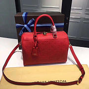 LOUIS VUITTON SPEEDY Cherry 3814 25cm  - 1