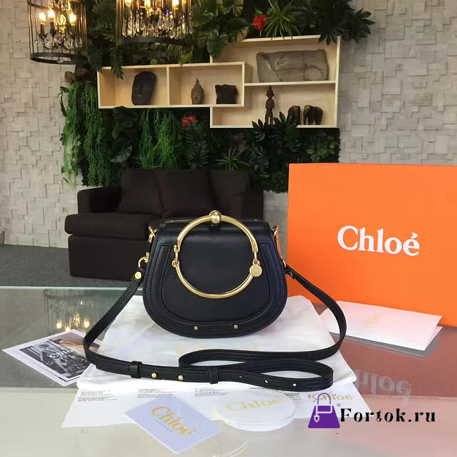 Chloe Leather Nile - 1
