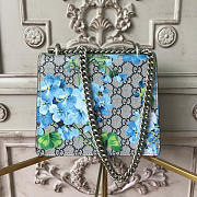 Gucci Dionysus Shoulder Bag Z09 20cm - 5