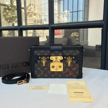 Louis Vuitton PETITE MALLE M40273 3269 