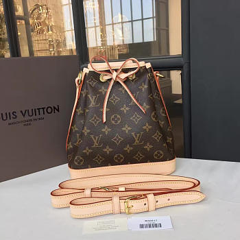 Louis Vuitton NOE BB Monogram Canvas