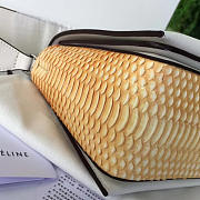 Celine Leather FRAME Z1110 25cm  - 2