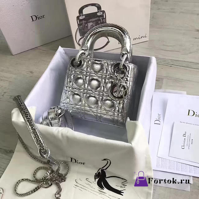 Lady Dior mini 1556  - 1