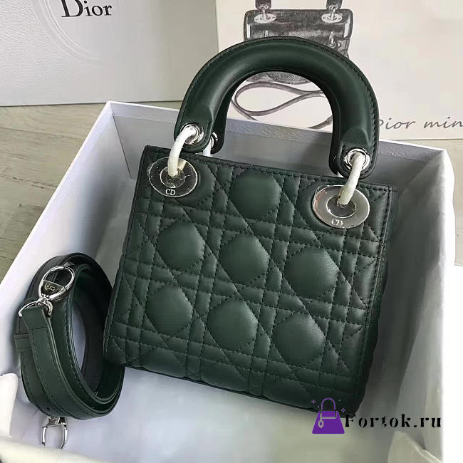 Lady Dior mini 1562  - 1