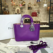 Diorissimo 1673  - 1