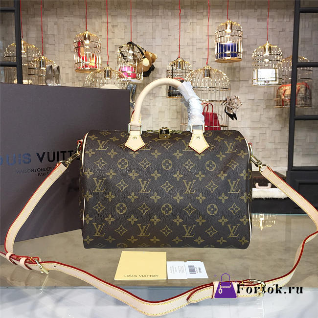 LOUIS VUITTON SPEEDY BANDOULIÈRE 30 3113 - 1