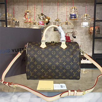 LOUIS VUITTON SPEEDY BANDOULIÈRE 30 3113