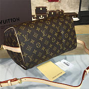 LOUIS VUITTON SPEEDY BANDOULIÈRE 30 3113 - 5