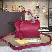 LOUIS VUITTON SPEEDY 25 Scarlet 3216 - 1