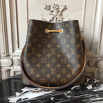 Louis Vuitton NEO NOE brown 3308