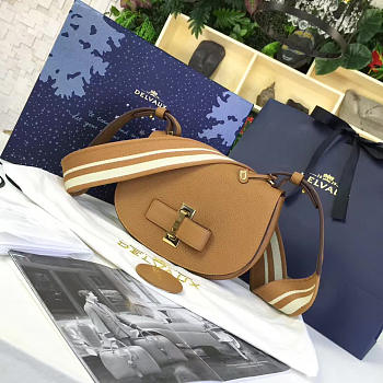 DELVAUX Calfskin Mini Le Mutin Saddle Bag 1497 20cm