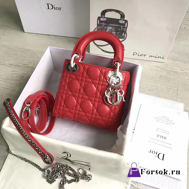 Lady Dior mini 1553  - 1
